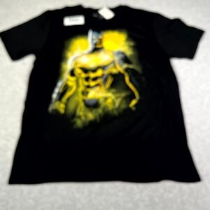 Six Flags Batman DC Comics Graphic T Shirt Adult Large Black Cotton Short Sleeve